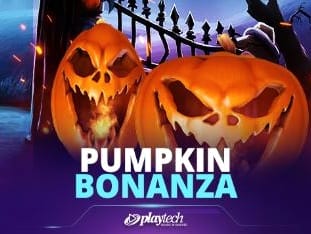 Pumpkin Bonanza screenshot