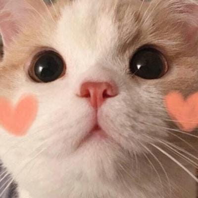 Yusuf Kalla avatar
